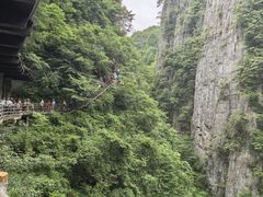 -恩施大峡谷