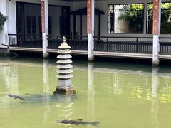 -杭州植物园