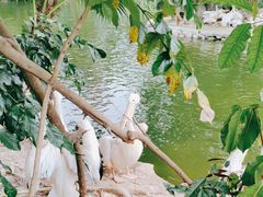 -深圳野生动物园