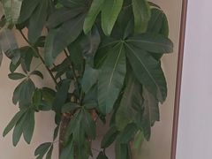 -李先生牛肉面大王(华联商厦店)