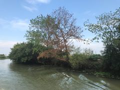 -长田漾湿地公园