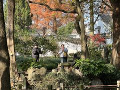 -绮园景区
