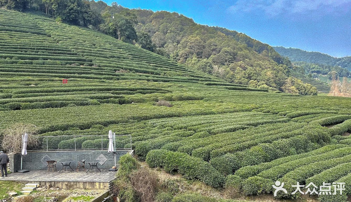 茶园边的咖啡馆