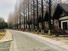 -太阳岛度假酒店