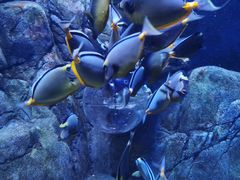 -成都浩海立方海洋公园