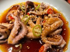 捞汁八爪鱼-無二炙坊·和牛烧肉(大钟寺1733店)
