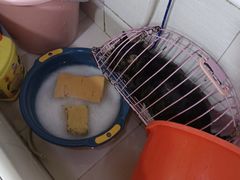 -酷狗靓猫宠物·洗护·美容·寄养(航北路店)