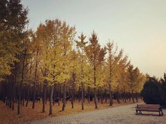 -汉景帝阳陵博物院