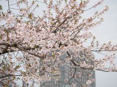 -龙美术馆(西岸馆)