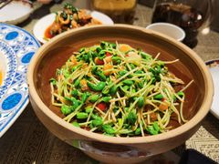 有机黑豆芽炒绿豆粉-小尕子·新疆菜(明园店)