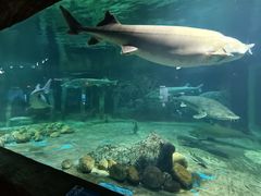 -华夏文旅海洋公园