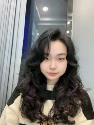 -YESIDO椰岛造型