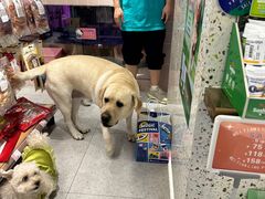 -FAELING PETS美天灵宠物(富力广场店)