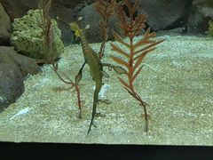 -上海海洋水族馆