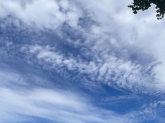 -东升八家郊野公园