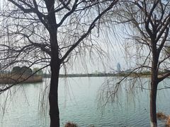 -澹台湖公园