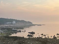 -养马岛旅游度假区