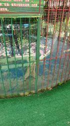 -萌宠亲子动物乐园(槐房万达店)