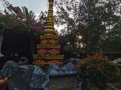 -瑞丽独树成林风景区