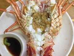 蒜蓉蒸红龙-强记龙虾钳(定安里店)
