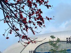 -宝能国际体育演艺中心