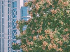 -陆家嘴中心绿地