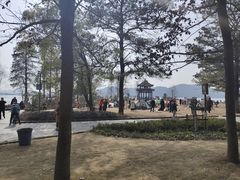 -东湖落雁景区