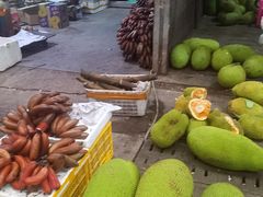 -鸿港海鲜批发市场