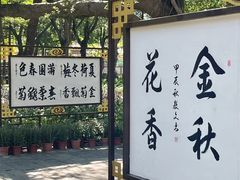 -金砂公园