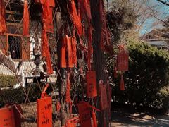 -隆福寺