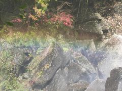 -龙都儿童医院