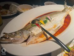 -醉庐·新上海菜(南京西路店)