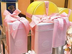 -COVA(环贸iapm店)