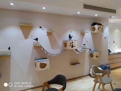 -Pets First伊珊娜洗护·精致美容·家庭式寄养(新会路店)