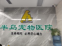 -半岛宠物医院24小时(白果林店)