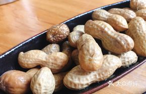 Plum Salted Water Peanuts