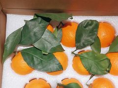 -台鄉缘 ·小海鲜·台州菜(桃林路店)