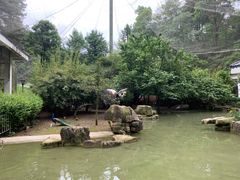 -黔灵山公园