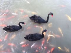 -襄阳烈士陵园(襄城区)