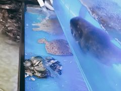 -寻乡迹· 湖南家宴(竹坑店)