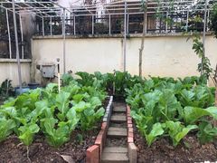 -清远恒大酒店·寻味清远