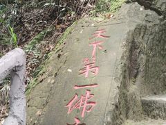 -大金鹰园