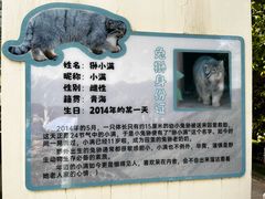 -青藏高原野生动物园