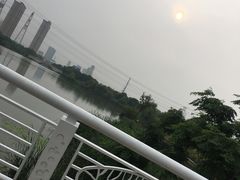 -九里河湿地公园