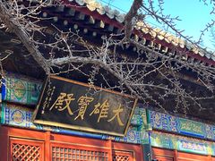 -红螺寺