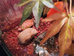 -上海海洋水族馆