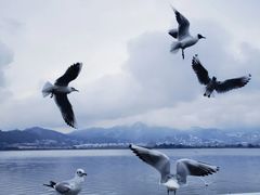 -滇池海埂公园