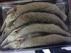 -品北铁锅炖  东北特色菜(北极大街店)