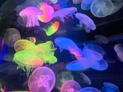 -太平洋海底世界