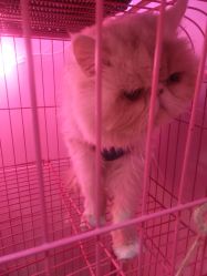 -M2匠心美甲美睫半永久